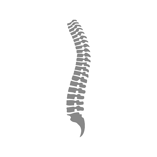 spina dorsale icona